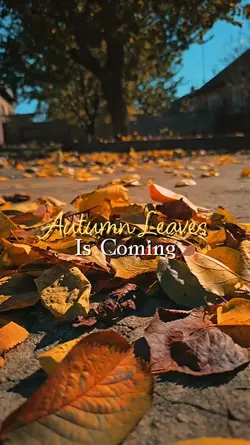 Autumn Leaves 