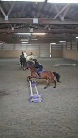 bareback jumpinggg