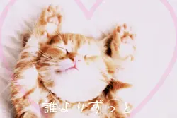 ↑📷20枚で出来ます！！