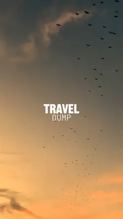 TRAVEL DUMP