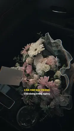 Tấm lòng Cửu Long