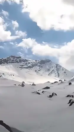 voyage voyage 