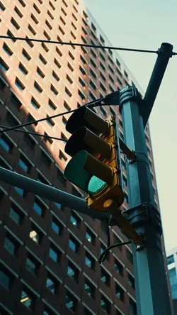 5 video clips