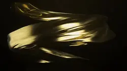 gold fabric intro ¹⁶
