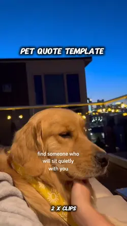 pet quote 