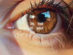 Iris