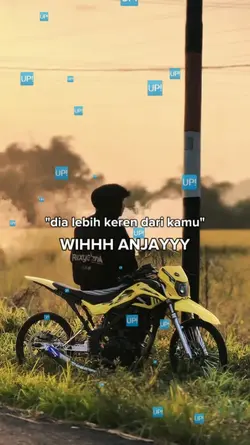 TREND BOOMERANG