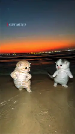 Cute slowmotion