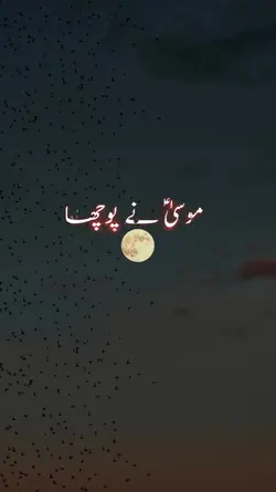 Islamic Template 