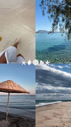 4video Grid 