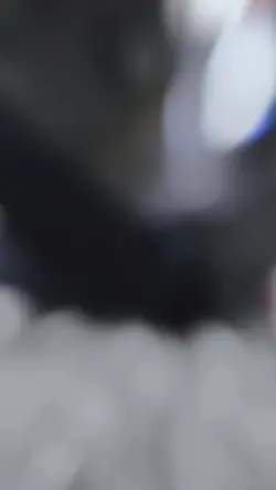 Capcut New template 