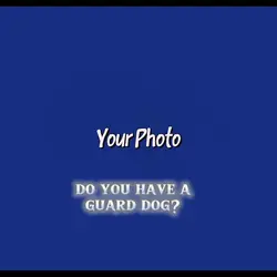 Guard Dog