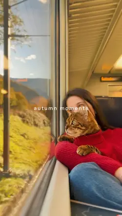 Autumn moments 