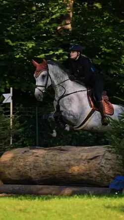 horseyy