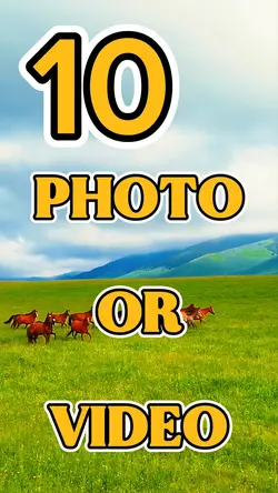 10 Videos Or Photos