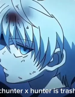 Hunter x hunter