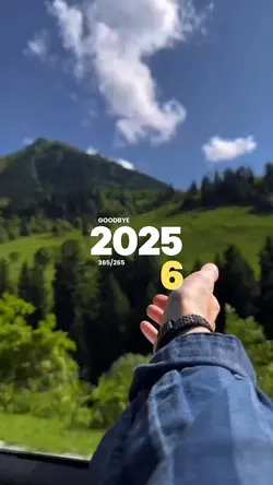 goody bye 2025