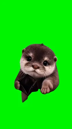give me please