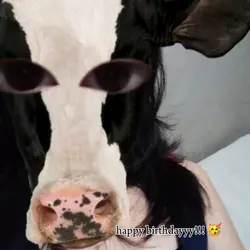 cat hbd 