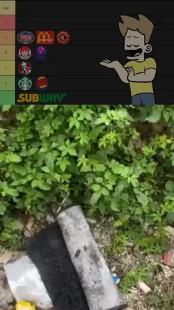 Bugs part 4
