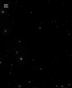 حبيتك حب ملوش تقدير