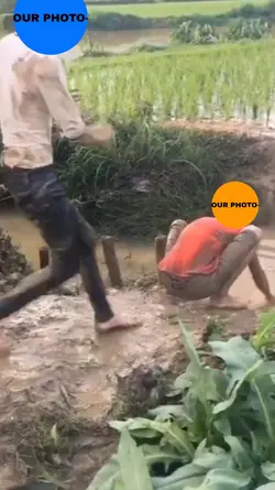 Try new template