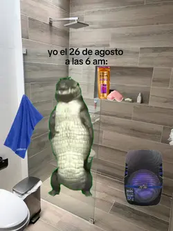 26 de agosto