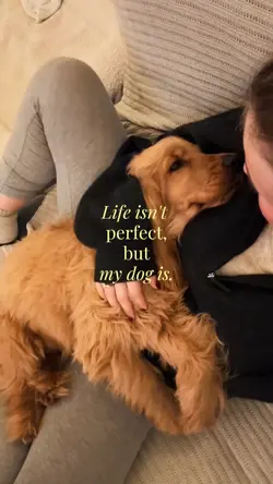 MY DOG 
