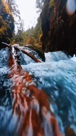 nature