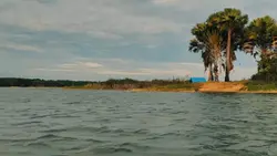 Aesthetic SLOWMO