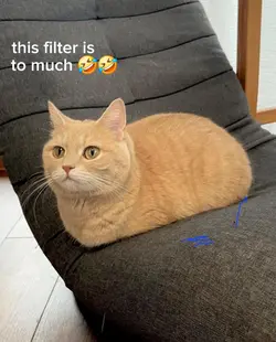 Ai Microwave Filter