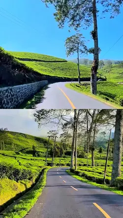 split screen hd 