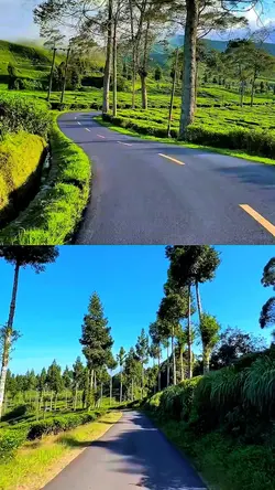 2 video jadi 1 hd