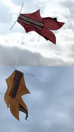 KOLASE TEMPLATE