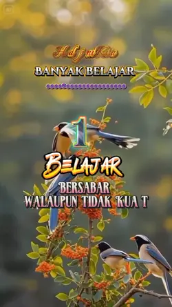 Banyak Belajar |