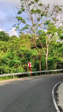 joy ride trend