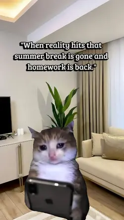 homework is back