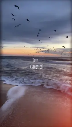 July Aesthetics 