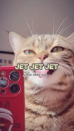 Mẫu nhiều ảnh jet 