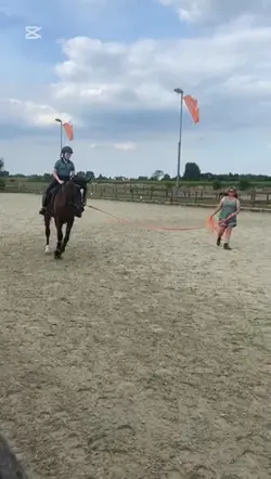 ⚠️FAKE HORSE⚠️