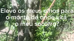 vida no sítio 