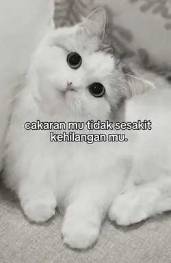 cakaran mu tidak