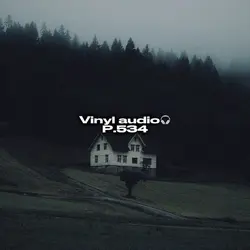 Vinyl audio p.534🎧