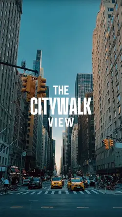 OPENING INTRO VIDEO