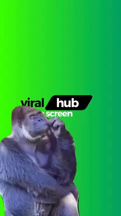 Gorilla Thinking 🦍