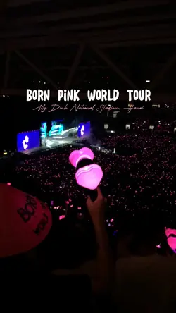 Concert Vlog