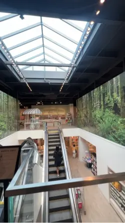 Store Reel