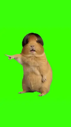 Hamster Dancing 