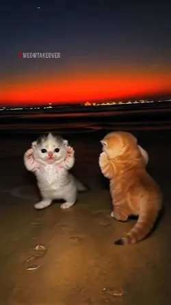 Gasolina x slowmo 