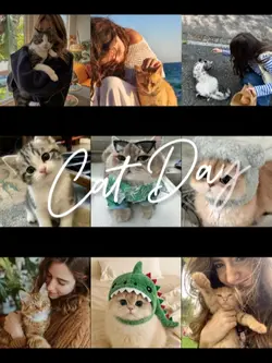 Cat Day